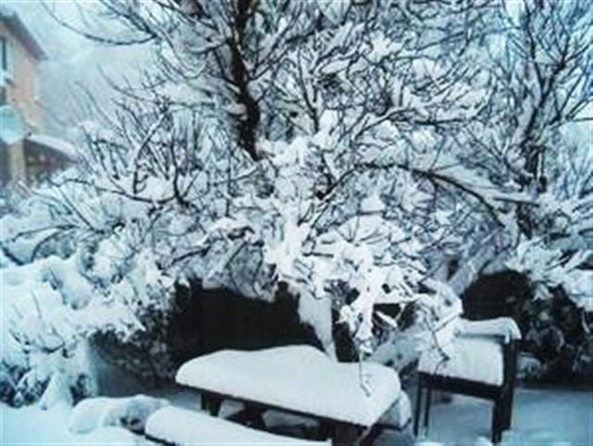 Bed and Breakfast Odem Country Lodging Экстерьер фото